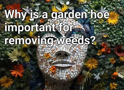 Why Removing Weeds is Crucial for a Flourishing Garden