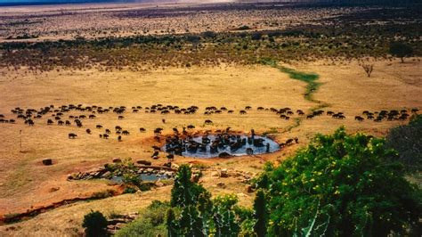 Wildlife Encounters: Exploring the Diverse Fauna of the Captivating Ranges