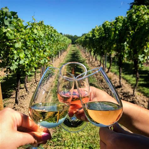 Wine Tasting Events: From Wine Festivals to Vineyard Tours