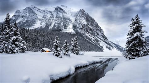 Winter Photography: Capturing the Essence of Frozen Drifts through the Lens