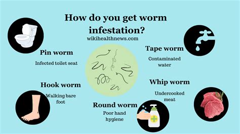 Worm Infestation: A Potential Explanation for the Disturbing Dream