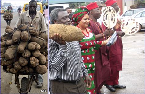 Yam Harvesting Rituals and Ceremonies